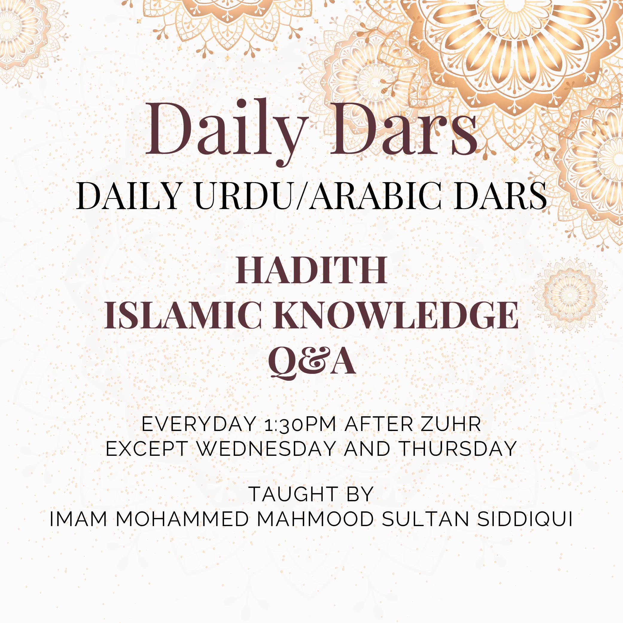 DAILY DARS